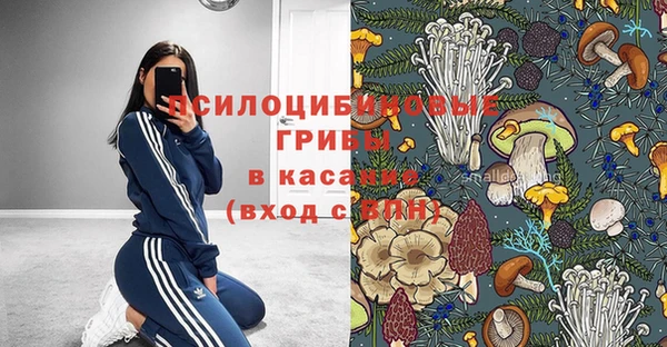 бошки Белоозёрский