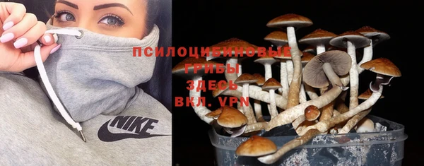 прущий лед Беломорск