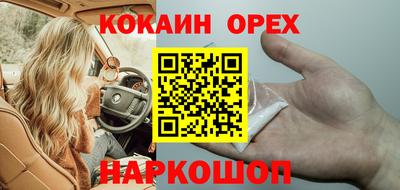 СК Сосновый Бор