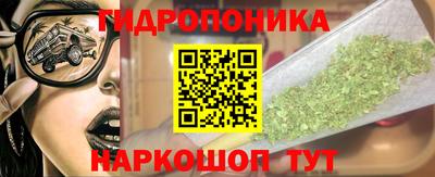 СК Сосновый Бор