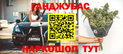 СК Сосновый Бор