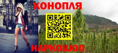 СК Сосновый Бор