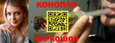 СК Сосновый Бор