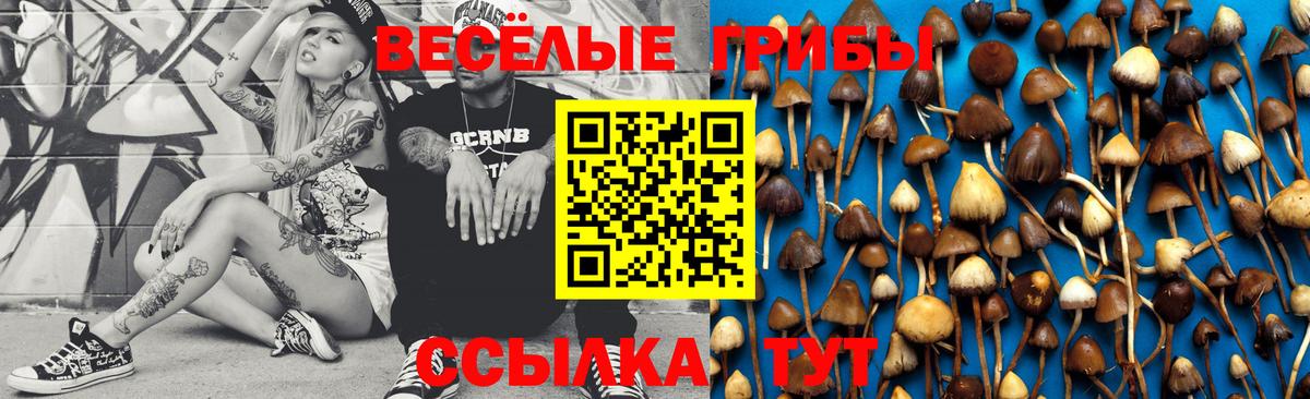 Псилоцибиновые грибы мухоморы Богородицк