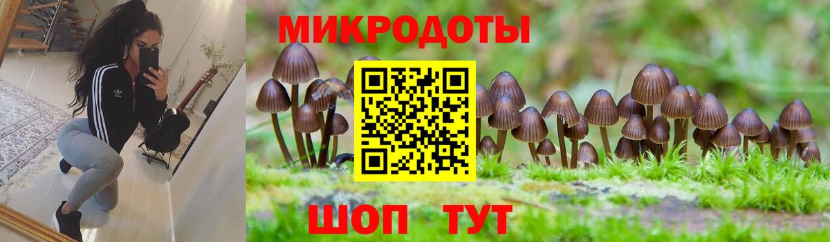 Псилоцибиновые грибы Cubensis Богородицк