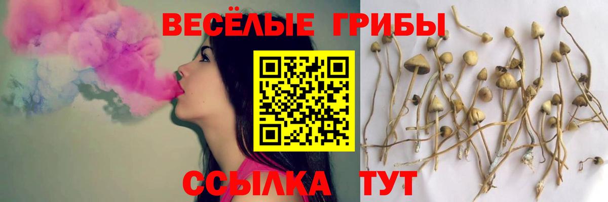 Богородицк  Галлюциногенные грибы Psilocybine cubensis  Вход с VPN  Галлюциногенные грибы Psilocybe 